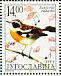 Whinchat Saxicola rubetra  2002 Birds 