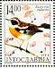 Whinchat Saxicola rubetra