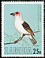 Chaplin's Barbet Lybius chaplini  1977 Birds of Zambia 