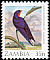 Black-and-rufous Swallow Hirundo nigrorufa  1987 Birds 