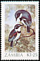 Margaret's Batis Batis margaritae  1987 Birds 