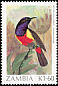 Anchieta's Sunbird Anthreptes anchietae  1987 Birds 