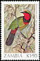 Gorgeous Bushshrike Telophorus viridis  1987 Birds 