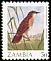 Dambo Cisticola Cisticola dambo  1987 Birds 