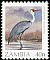 Wattled Crane Grus carunculata  1987 Birds 