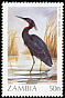 Slaty Egret Egretta vinaceigula  1987 Birds 