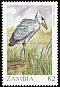 Shoebill Balaeniceps rex  1987 Birds 
