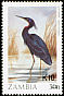 Slaty Egret Egretta vinaceigula  1988 Birds 