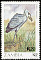 Shoebill Balaeniceps rex  1988 Birds 