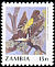 Bar-winged Weaver Ploceus angolensis  1990 Birds 