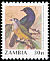 Purple-throated Cuckooshrike Campephaga quiscalina  1990 Birds 