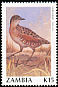 Corn Crake Crex crex  1990 Birds 