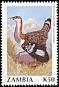 Denham's Bustard Neotis denhami  1990 Birds 