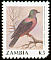 Western Bronze-naped Pigeon Columba iriditorques  1991 Birds 