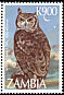 Spotted Eagle-Owl Bubo africanus  1997 Owls 