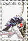 Palm Cockatoo Probosciger aterrimus  1998 Parrots Sheet