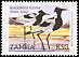 Blacksmith Lapwing Vanellus armatus  1999 Definitives 