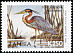 Purple Heron Ardea purpurea  1999 Definitives 