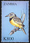 Golden Pipit Tmetothylacus tenellus  2000 Birds of the world 