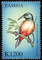 Orange-breasted Sunbird Anthobaphes violacea  2000 Birds of the world 