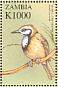 Greater Necklaced Laughingthrush Pterorhinus pectoralis  2000 Birds of the world Sheet