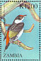 Pin-tailed Manakin Ilicura militaris  2000 Birds of the world Sheet
