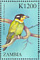 Long-tailed Broadbill Psarisomus dalhousiae  2000 Birds of the world Sheet