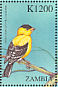 American Goldfinch Spinus tristis  2000 Birds of the world Sheet
