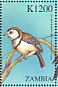 Double-barred Finch Stizoptera bichenovii  2000 Birds of the world Sheet