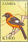 Orange-backed Troupial Icterus croconotus  2000 Birds of the world Sheet