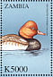 Red-crested Pochard Netta rufina  2000 Birds of the world  MS MS MS