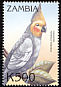 Cockatiel Nymphicus hollandicus  2000 Birds of the tropics 