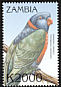 Red-collared Lorikeet Trichoglossus rubritorquis  2000 Birds of the tropics 