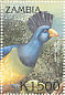 Great Blue Turaco Corythaeola cristata  2000 Birds of the tropics 8v sheet