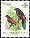 Malagasy Coucal Centropus toulou  1983 Birds 