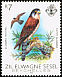Seychelles Kestrel Falco araeus  1983 Birds 