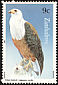 African Fish Eagle Haliaeetus vocifer  1984 Birds of prey 