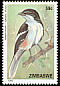 Southern Fiscal Lanius collaris  1992 Birds 
