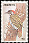 Cardinal Woodpecker Dendropicos fuscescens  1992 Birds 