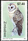 Western Barn Owl Tyto alba  1999 Owls 