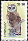 Marsh Owl Asio capensis