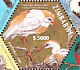 Western Cattle Egret Bubulcus ibis  2004 SAPOA Sheet