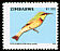 Little Bee-eater Merops pusillus  2007 Birds of Zimbabwe 