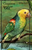Guyana 1999