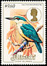 Flat-billed Kingfisher Todiramphus recurvirostris