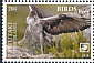 Bonelli's Eagle Aquila fasciata  2018 Birds of prey White frames