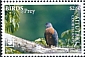 Double-toothed Kite Harpagus bidentatus  2018 Birds of prey White frames