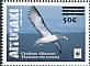 Chatham Albatross Thalassarche eremita