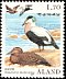 Common Eider Somateria mollissima  1987 Birds 