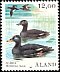 Velvet Scoter Melanitta fusca  1987 Birds 